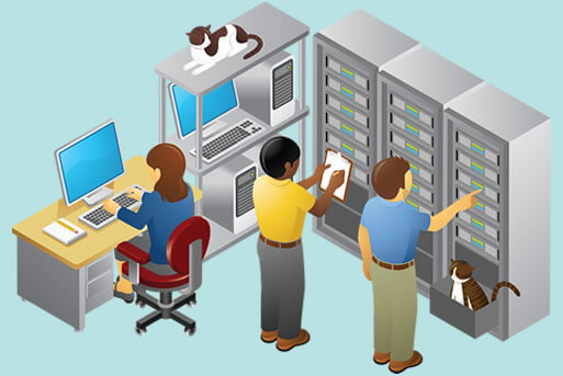 Website Hosting < Domain Names